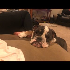 Meet your Posher, J reid